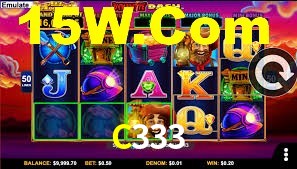 C333