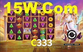C333